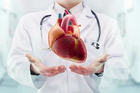 Best cardiologists in Sydney